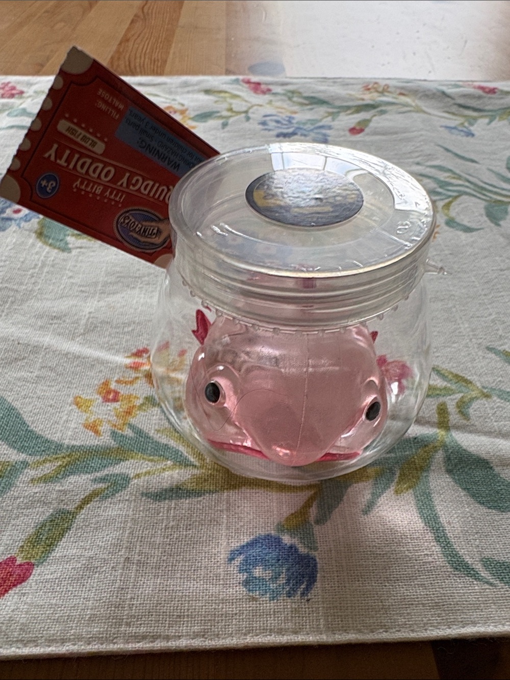 Squidgy Oddity squeeze fish in bowl